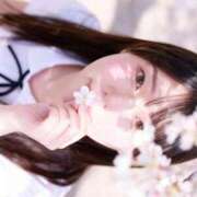 ヒメ日記 2026/03/29 23:22 投稿 みしん ミラー