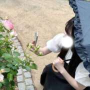 ヒメ日記 2026/04/03 19:14 投稿 みしん ミラー