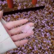 ヒメ日記 2026/04/16 22:52 投稿 みしん ミラー