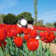 ヒメ日記 2026/04/17 18:14 投稿 みしん ミラー