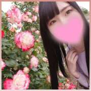 ヒメ日記 2026/04/18 14:53 投稿 みしん ミラー