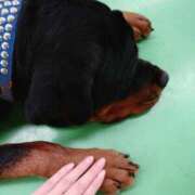 ヒメ日記 2026/04/19 01:38 投稿 みしん ミラー