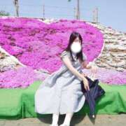 ヒメ日記 2026/04/24 06:00 投稿 みしん ミラー