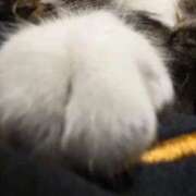 ヒメ日記 2026/02/20 23:43 投稿 風吹(ふぶき) 堺・南大阪泡洗体ハイブリッドエステ