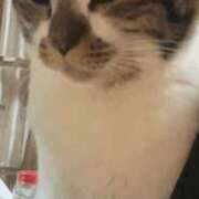 ヒメ日記 2026/03/17 23:13 投稿 風吹(ふぶき) 堺・南大阪泡洗体ハイブリッドエステ