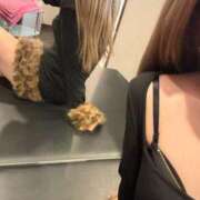 ヒメ日記 2026/02/22 14:02 投稿 ひめたん buzz-B