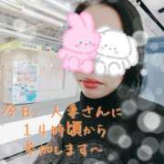 しずか 引っ越ししてきました〜 出会い系人妻ネットワーク 新宿〜池袋編