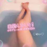 めい 飛んでる… 川崎三浦屋