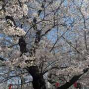 ヒメ日記 2026/04/01 22:04 投稿 みずき 東京エステコレクション 新橋・銀座