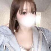 ヒメ日記 2026/02/15 12:07 投稿 えれな 激安ソープの殿堂　ボイン・ホーテ