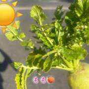 ヒメ日記 2026/02/17 15:37 投稿 もも☆ちぃかわお姫様に萌えきゅん ジャックと豆の木