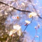 ヒメ日記 2026/02/19 12:40 投稿 もも☆ちぃかわお姫様に萌えきゅん ジャックと豆の木