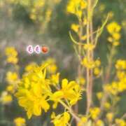 ヒメ日記 2026/03/26 17:56 投稿 もも☆ちぃかわお姫様に萌えきゅん ジャックと豆の木