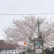 ヒメ日記 2026/04/06 09:44 投稿 もも☆ちぃかわお姫様に萌えきゅん ジャックと豆の木