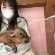 ヒメ日記 2026/02/13 19:20 投稿 るる パイセン