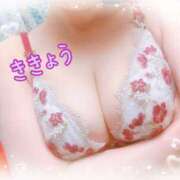 ヒメ日記 2026/03/14 21:35 投稿 津村ききょう 五反田ヒーローズ（ユメオト）