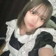 ヒメ日記 2026/02/25 15:11 投稿 ことり エデン