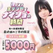 ヒメ日記 2026/02/25 20:11 投稿 ことり エデン