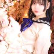 ヒメ日記 2026/03/10 06:16 投稿 ことり エデン