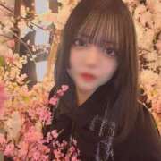 ヒメ日記 2026/03/19 06:41 投稿 ことり エデン