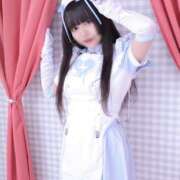 ヒメ日記 2026/03/24 06:27 投稿 ことり エデン