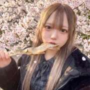 ヒメ日記 2026/04/07 12:21 投稿 ことり エデン