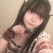 ヒメ日記 2026/04/11 06:19 投稿 ことり エデン