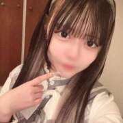 ヒメ日記 2026/04/12 06:11 投稿 ことり エデン