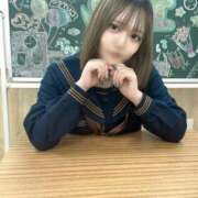 ヒメ日記 2026/04/24 07:22 投稿 ことり エデン