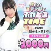 ヒメ日記 2026/06/02 05:11 投稿 ことり エデン
