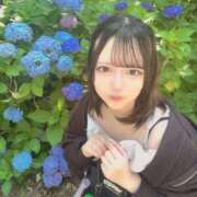 ヒメ日記 2026/06/23 14:01 投稿 ことり エデン