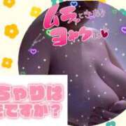 ヒメ日記 2026/02/19 10:52 投稿 石井夕子 熟女パラダイス池袋店(カサブランカグループ)