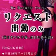 ヒメ日記 2026/03/19 15:49 投稿 稚々ちえり（ちち） PERSONA（ペルソナ）