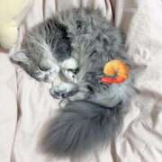 ヒメ日記 2026/03/11 14:27 投稿 あむ ふわメロ