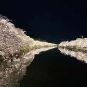 羽月 めな 弘前の桜🌸 LUXE(リュクス)