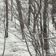 ヒメ日記 2026/03/13 12:20 投稿 澄白衣千花 お姉さんCLUB