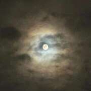 ヒメ日記 2026/03/14 23:49 投稿 澄白衣千花 お姉さんCLUB