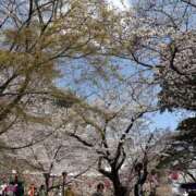 ヒメ日記 2026/03/16 09:03 投稿 澄白衣千花 お姉さんCLUB