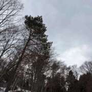 ヒメ日記 2026/03/23 17:12 投稿 澄白衣千花 お姉さんCLUB