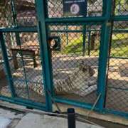 ヒメ日記 2026/03/27 12:12 投稿 澄白衣千花 お姉さんCLUB