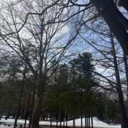 ヒメ日記 2026/04/01 10:03 投稿 澄白衣千花 お姉さんCLUB