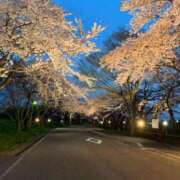 ヒメ日記 2026/04/04 18:06 投稿 澄白衣千花 お姉さんCLUB