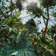 ヒメ日記 2026/04/08 07:12 投稿 澄白衣千花 お姉さんCLUB