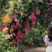 ヒメ日記 2026/04/18 12:13 投稿 澄白衣千花 お姉さんCLUB