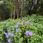 ヒメ日記 2026/08/01 06:03 投稿 澄白衣千花 お姉さんCLUB