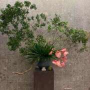 ヒメ日記 2026/10/16 21:48 投稿 澄白衣千花 お姉さんCLUB