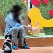 ヒメ日記 2026/02/13 19:09 投稿 あや 迷宮の人妻 古河・久喜発