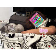 ヒメ日記 2026/03/16 00:14 投稿 あや 迷宮の人妻 古河・久喜発