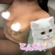 ヒメ日記 2026/03/29 14:49 投稿 あや 迷宮の人妻 古河・久喜発