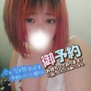 ヒメ日記 2026/02/08 20:05 投稿 めいな 千葉サンキュー